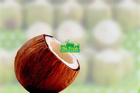 Coconut Product